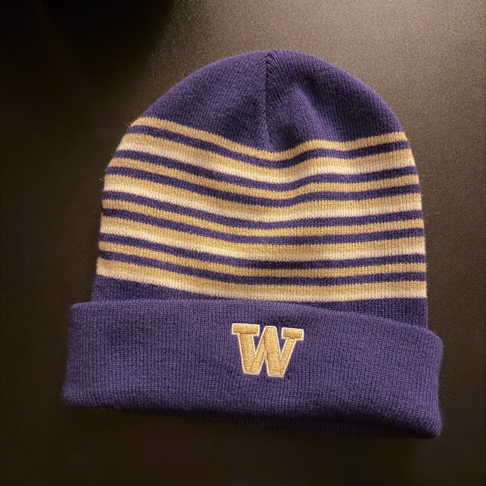 UW striped beanie